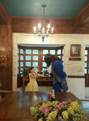 Show de la Bella y la Bestia