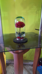 Rosa de la Bella y la Bestia