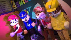 Show de Paw Patrol