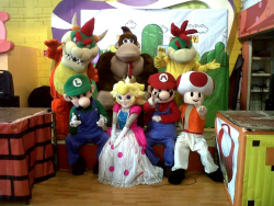 Show de Mario Bros