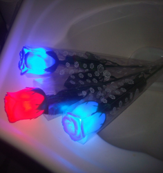 Rosa con Luz Led