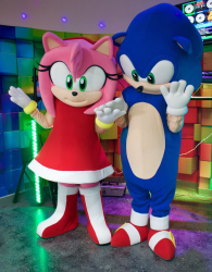 Show de Sonic