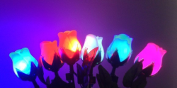Rosa con Luz Led