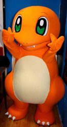 Show de Pokemon