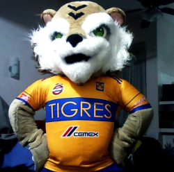 Show de Tigres y Rayados