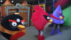 Show de Angry Birds