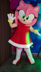 Show de Sonic