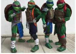 Show de Tortugas Ninja