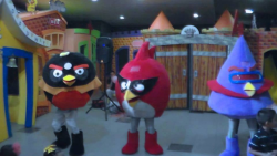 Show de Angry Birds