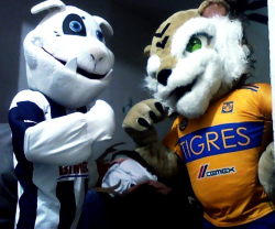 Show de Tigres y Rayados
