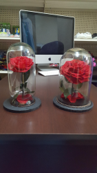 Rosa de la Bella y la Bestia