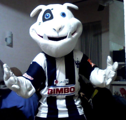 Show de Tigres y Rayados
