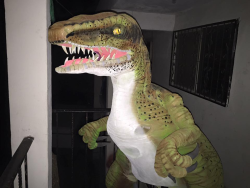 Show de Dinosaurios - Opcion 2