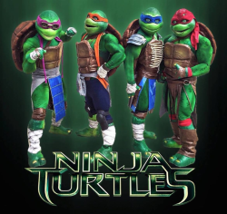 Show de Tortugas Ninja
