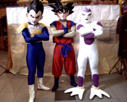 Show de Dragon Ball