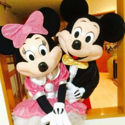 Show de Mickey y Minnie